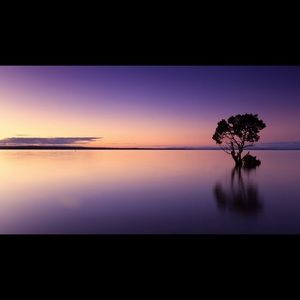 Meet your Posher, Ethan